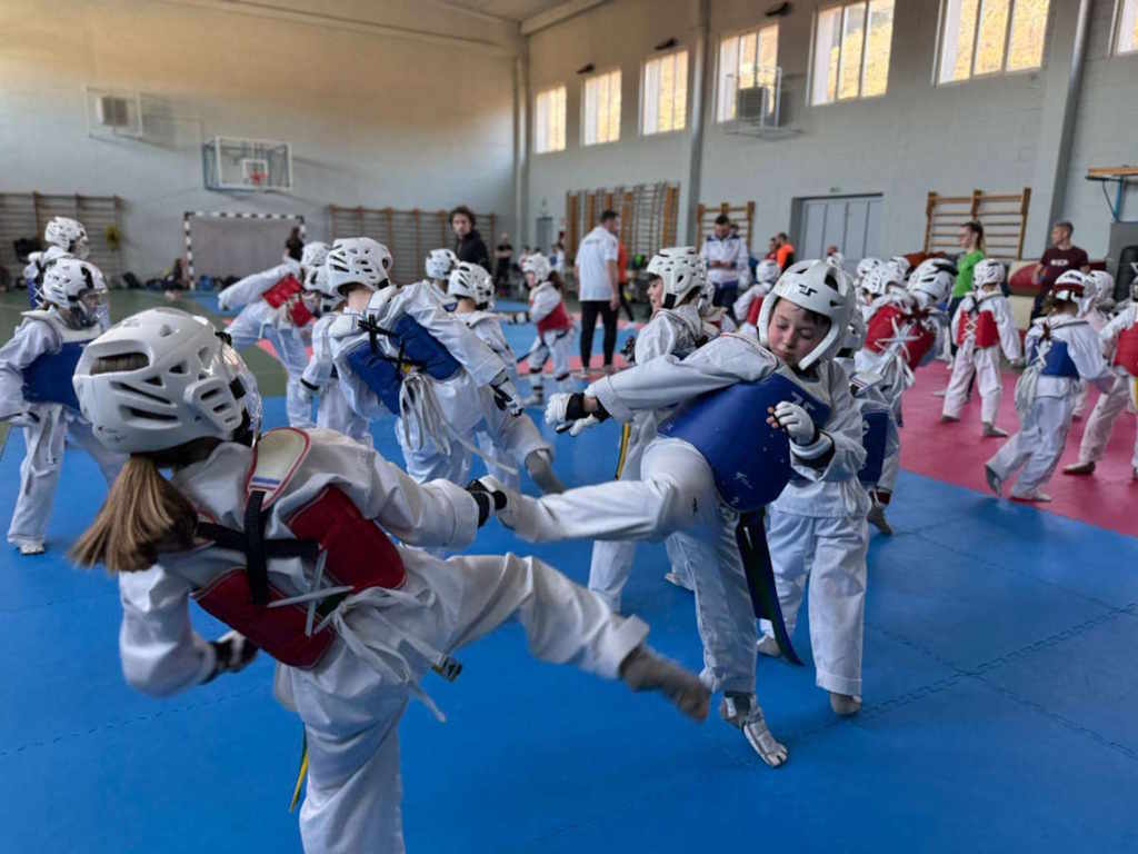 Taekwondo